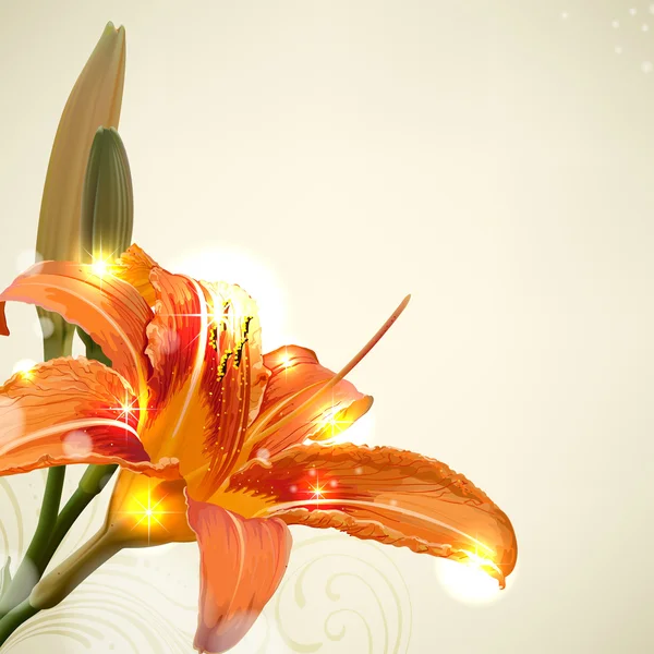 Lily flower abstract vector