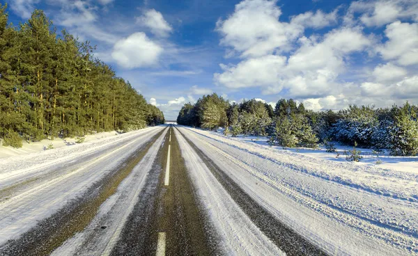 Winter road to wood, Belarus