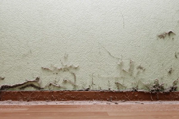 Dirty room with dust on wall and floor