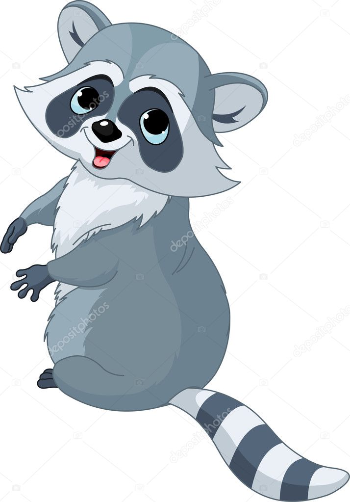 Cartoon Raccoon Images