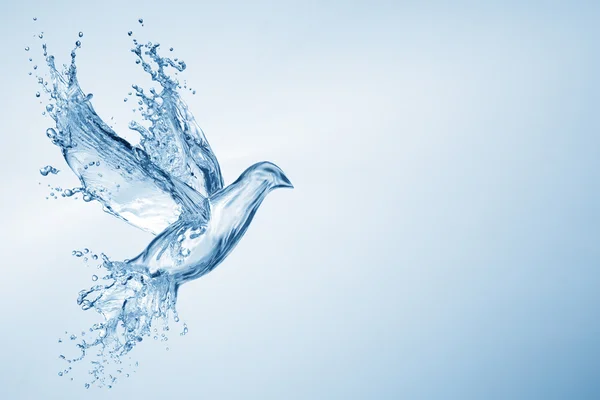 Dove made out of water splashes