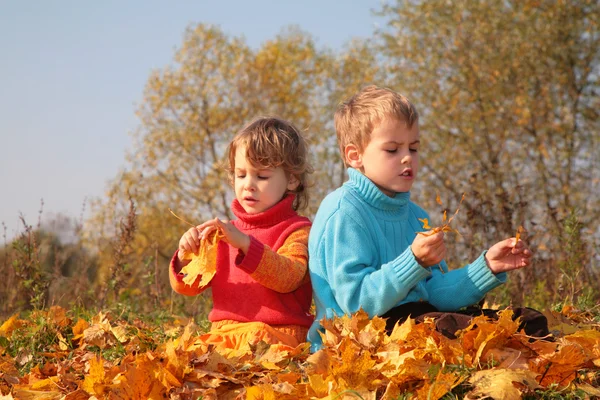 Two children sit on fallen maple leaves