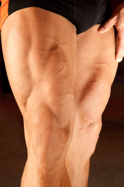Closeup photo of bodybuilder legs