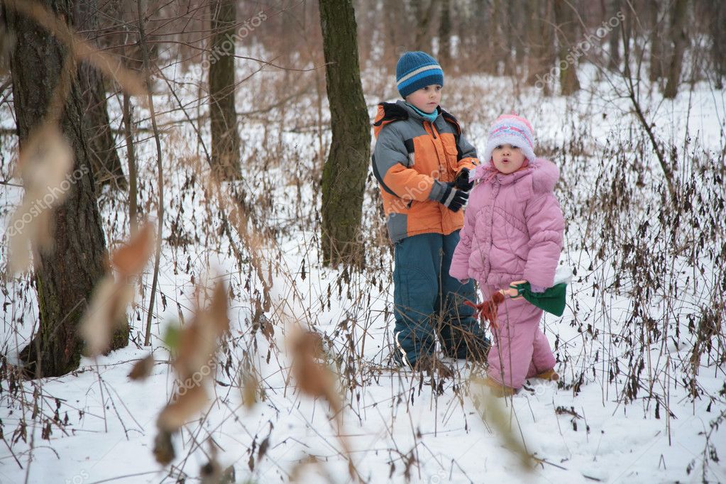 http://static7.depositphotos.com/1000998/743/i/950/depositphotos_7439557-Brother-with-sister-in-forest-in-winter.jpg