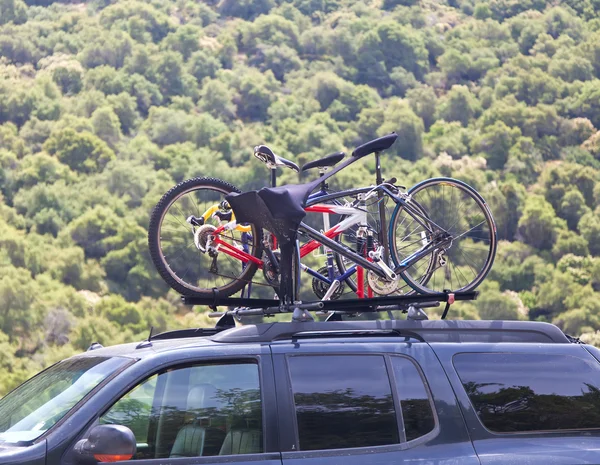 Three bicycles on the top of car near forest