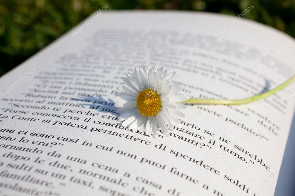 write analytical essay poem write analytical essay poem
