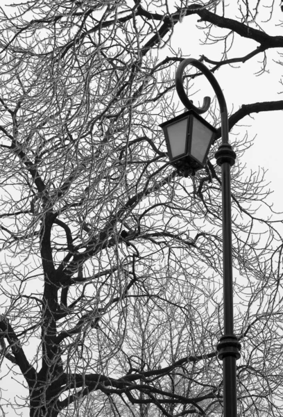 Black and white photo of street lamp