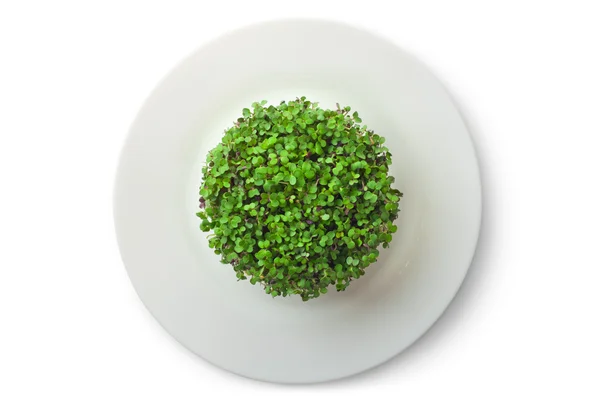 waarom eten veganisten geen honing
