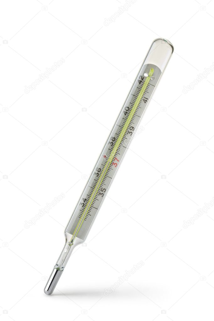 Termometer Raksa