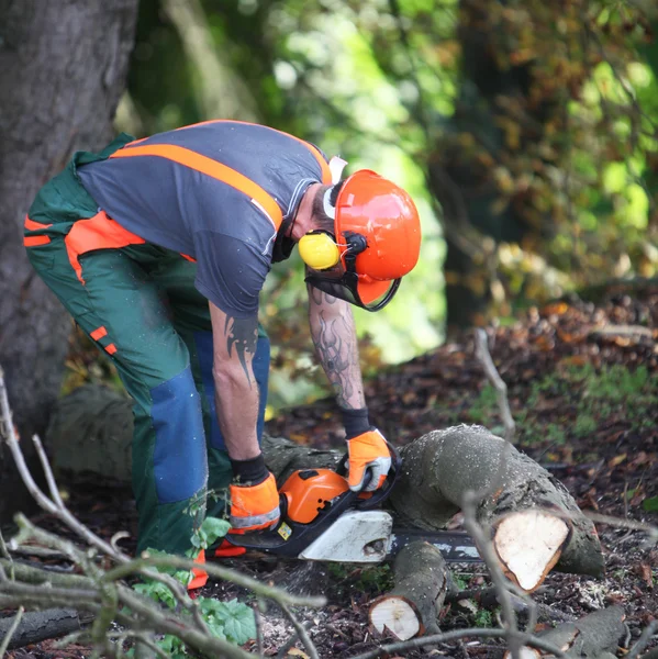A forest worker in wood saws