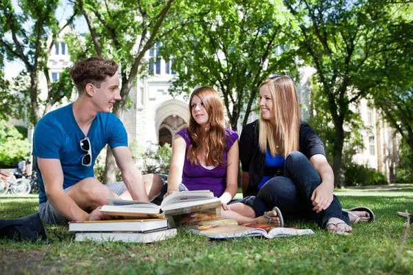 Students on campus ground