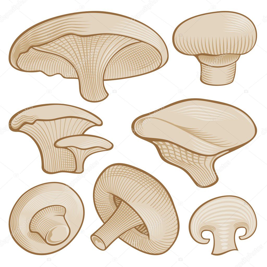 sliced mushroom clip art - photo #23