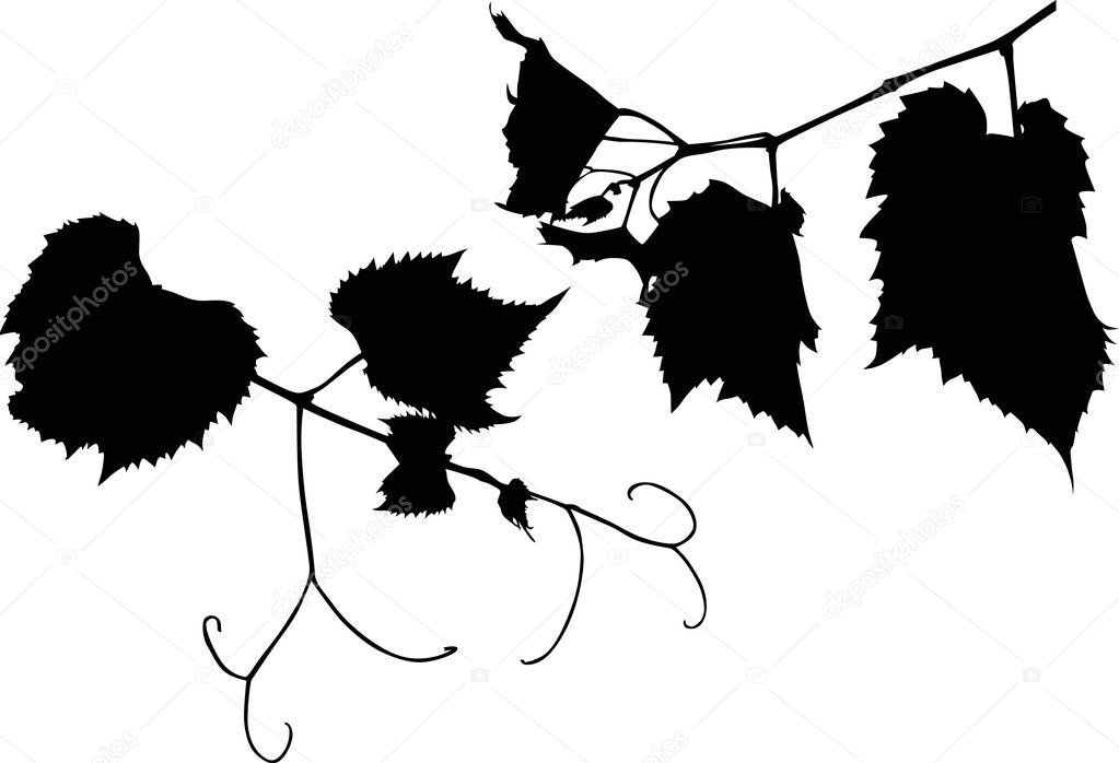 flower vine silhouette