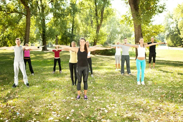 Large group exercising in park