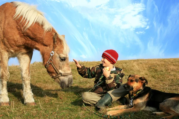 Boy, horse and dogs