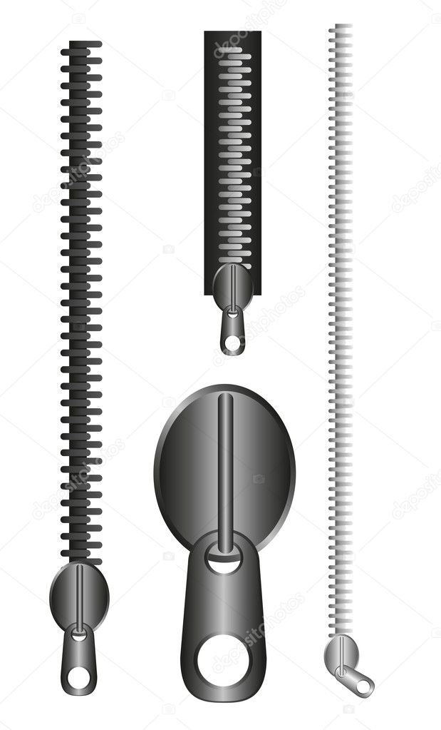 Zipper Vector