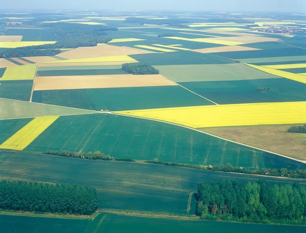 Meadows and fields. Aerial image.