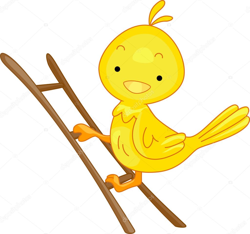 Bird Ladder — Stock Photo © lenmdp 6857255