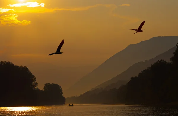 Beautiful landscape in orange, yellow showing birds flying over water