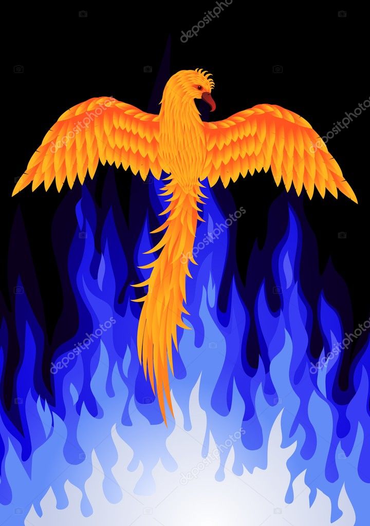 Bird Phoenix