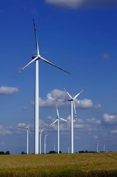 Turbines in wind farm
