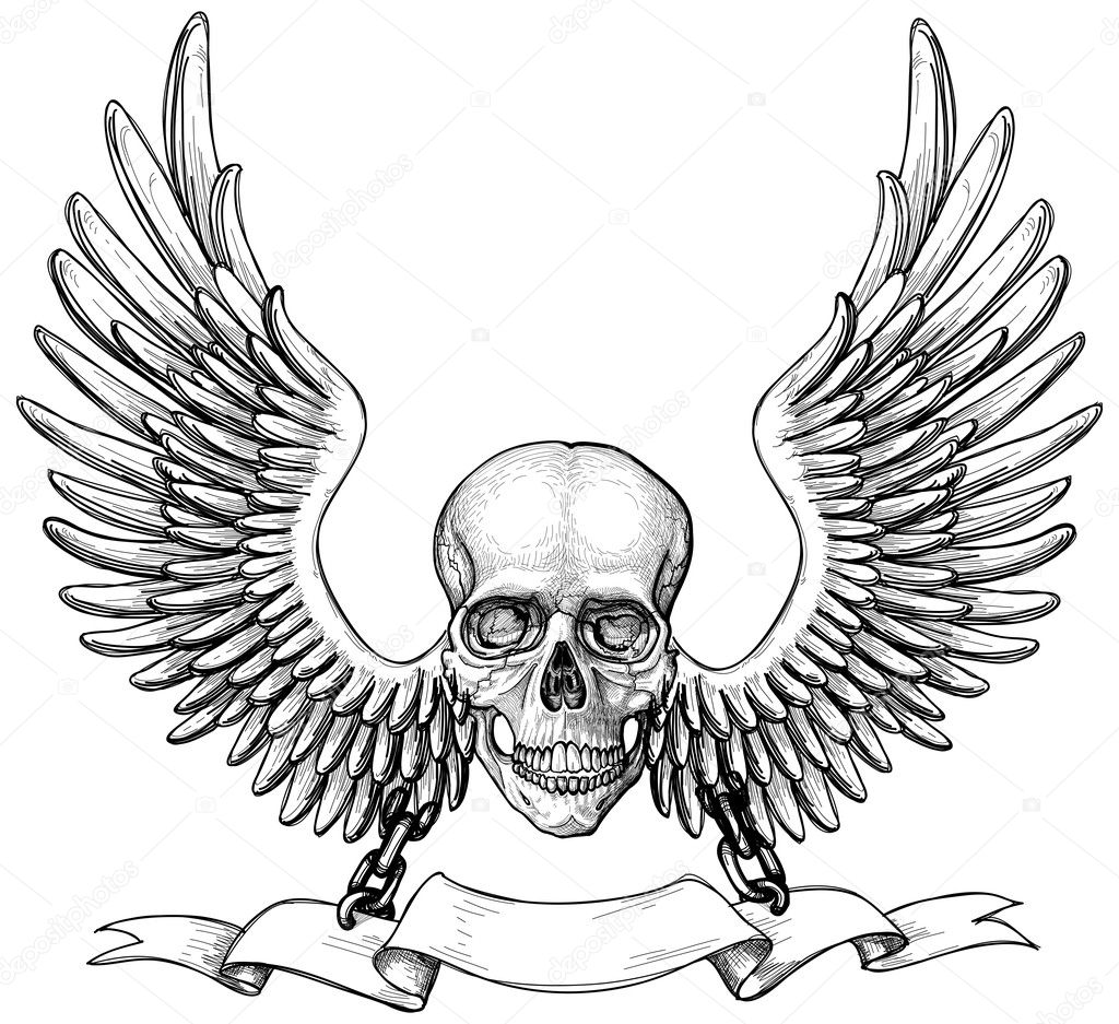 Skull with Angel Wings Drawings