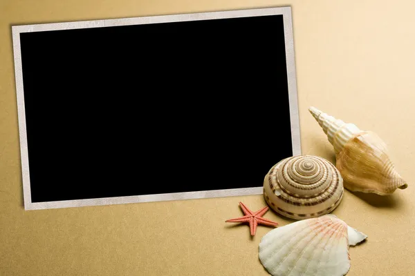 Seashell photo frame