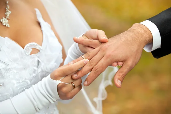 Newly-married couple on wedding dresses gold rings