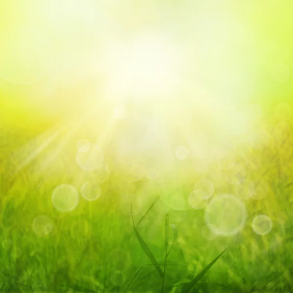 Spring or summer heat abstract nature background