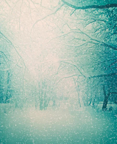 Winter trees — Stock Photo #7643810