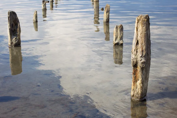 The old wooden pillars in the water salty Dead Sea