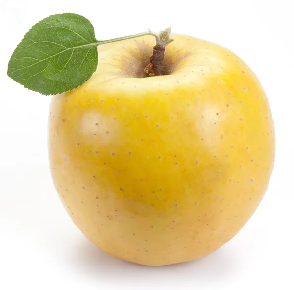 Ripe yellow apple with one leaf.