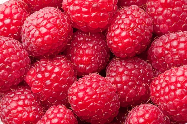 Raspberries close up. Macro photo. — Stock Photo #7534808