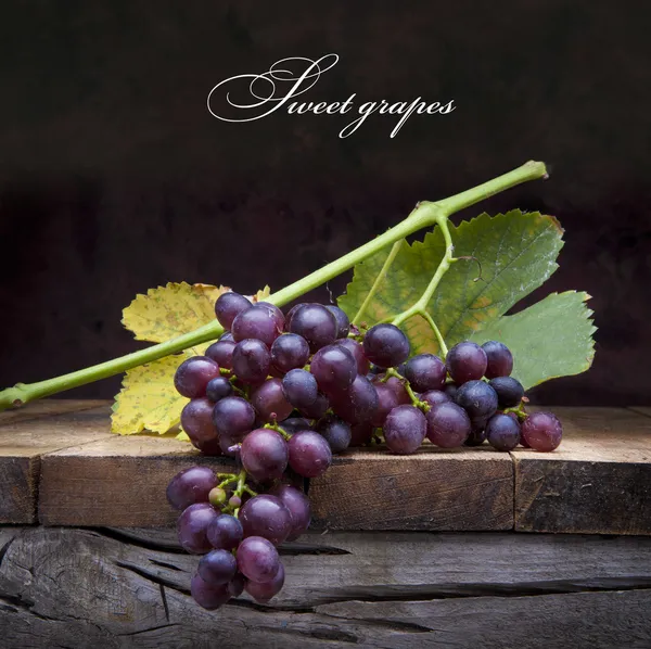 Art purple grapes on old wooden background