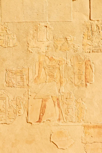 Bas-relief on wall in Temple of Queen Hatshepsut in Luxor