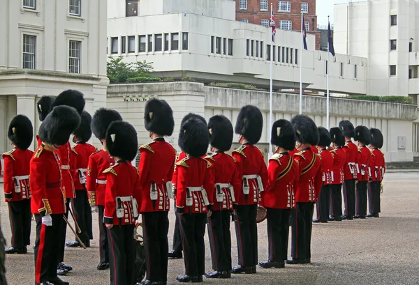Grenadier Guard Inspection