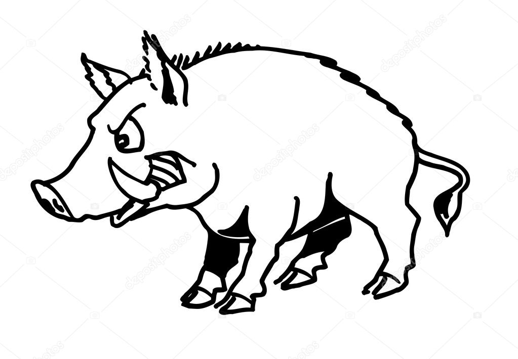 Boar Vector