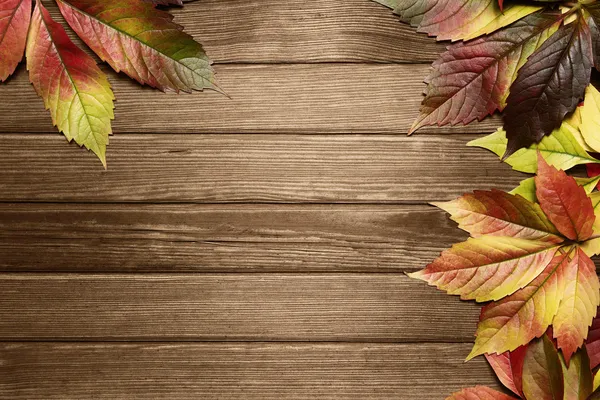 Autumn leaves background with copy space