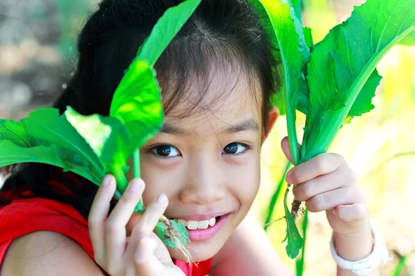 Little girl holding a green vegetable