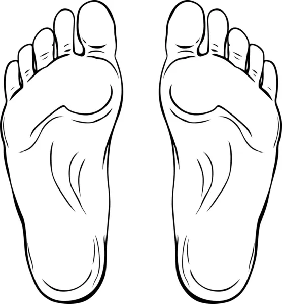Human soles — Stock Vector © Den.Barbulat 7223680