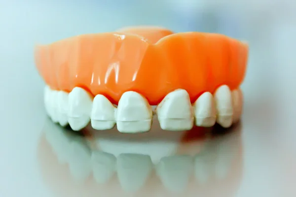Frontal view of dental prosthesis