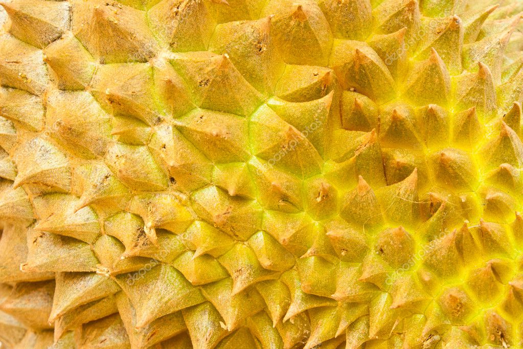 durian skin
