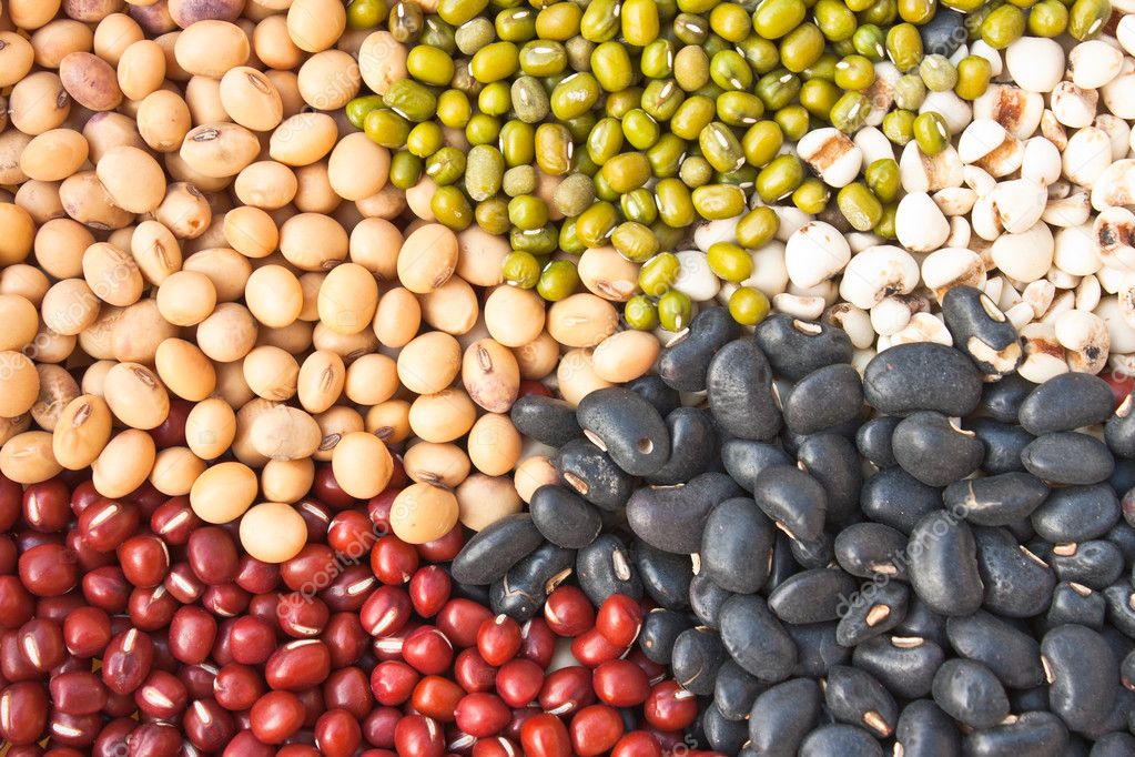 Various - Les Haricots Sont Pas Salé Various - Les Haricots Sont Pas Salé