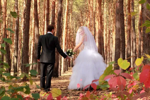 Couple walking over the forest