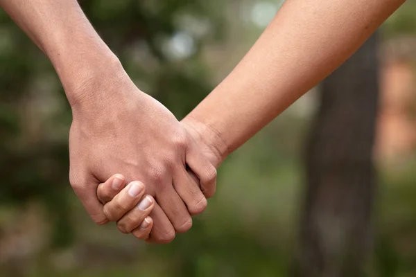 Lovers couple holding hands in a forest (summer/spring)