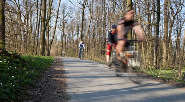 Bikers on a biking path in a park (motion blur is used to convey