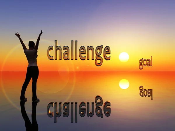 Challenge and goal