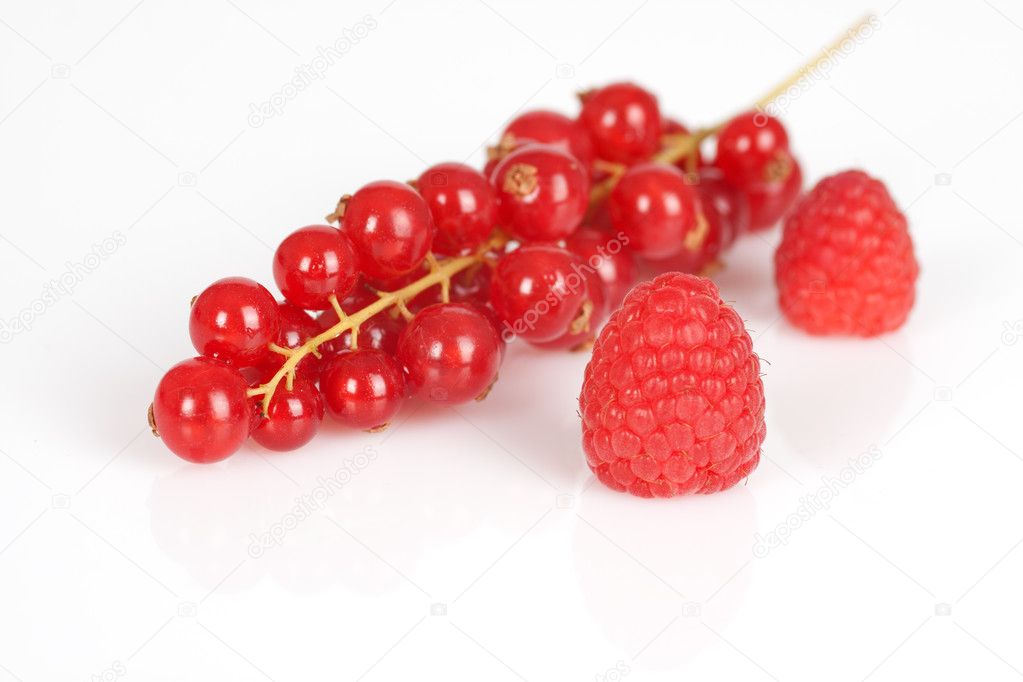 Himbeeren, Johannisbeeren — Stockfoto © Bernd54 7283829