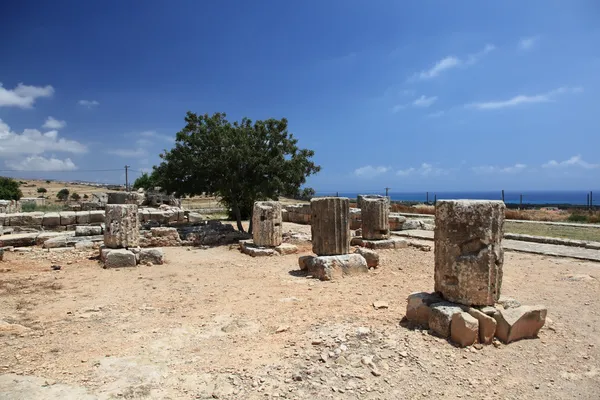 Ancient columns. Ruins of the temple of Aphrodite. Cyprus.