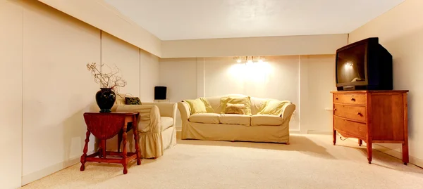 Basement room with sofa and large TV.